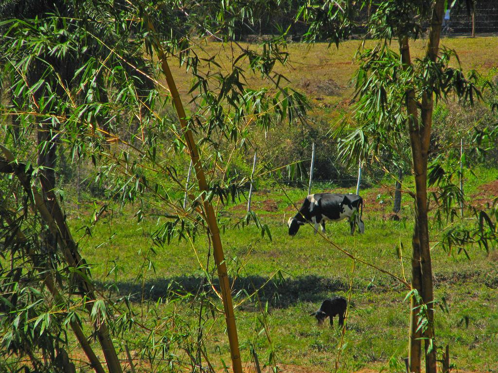 Pousada Kafundo - Inhotim Brumadinho Dış mekan fotoğraf